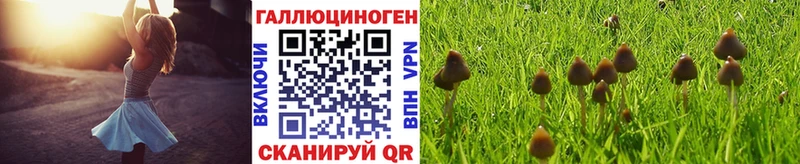 Галлюциногенные грибы GOLDEN TEACHER  Орск 