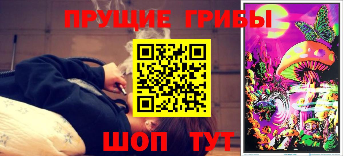 Орск  Галлюциногенные грибы Psilocybe  Псилоцибиновые грибы прущие грибы  Вход с VPN 