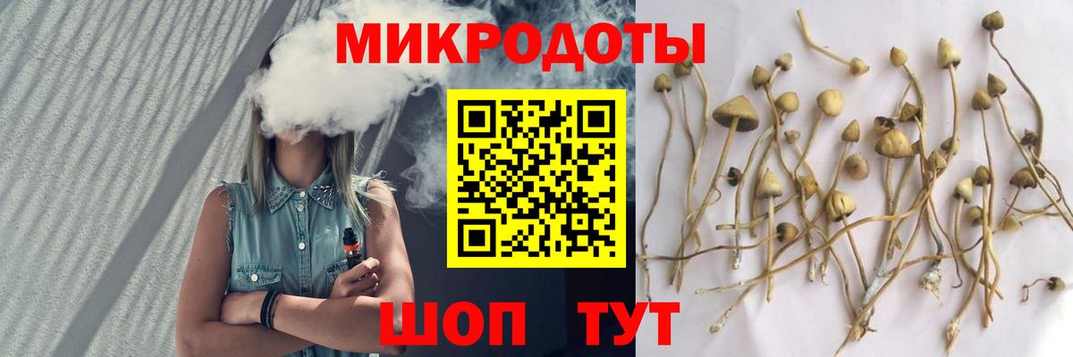 Галлюциногенные грибы Magic Shrooms  Псилоцибиновые грибы Cubensis  Орск 